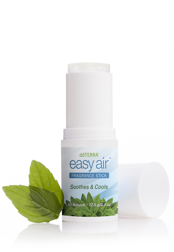 이지에어 프라그란스 스틱