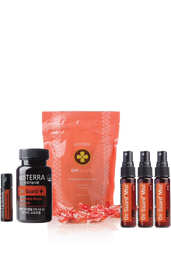온가드 프로텍트 키트