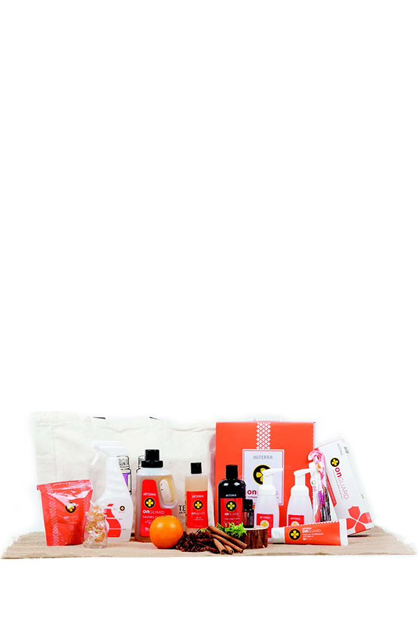 온가드 종합키트