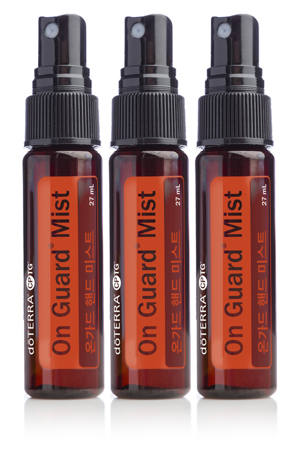 온가드 핸드 미스트