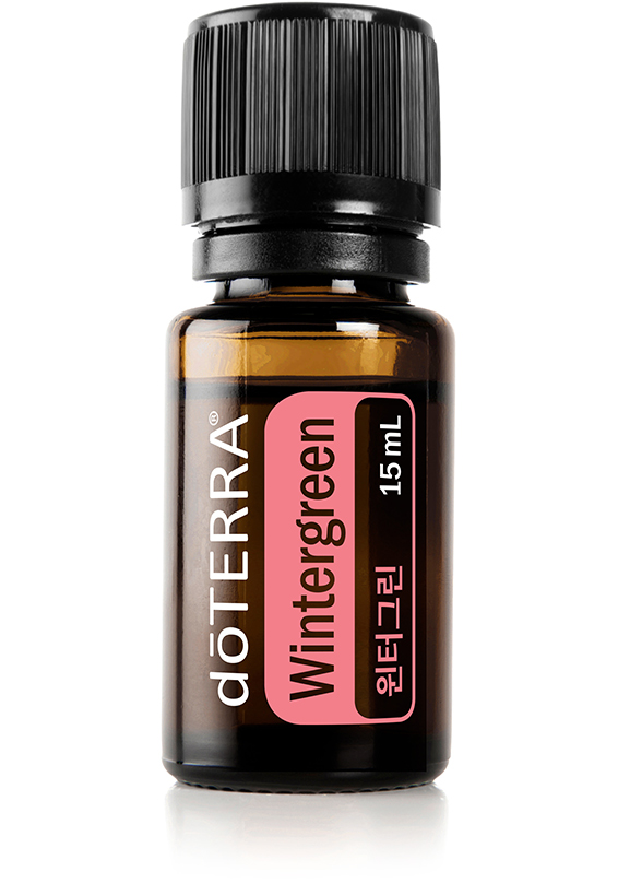 윈터그린